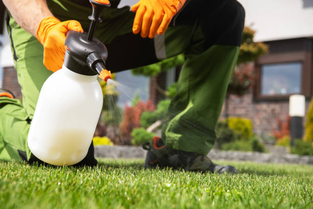 Best Pest Control for Businesses  in Hallsville, TX