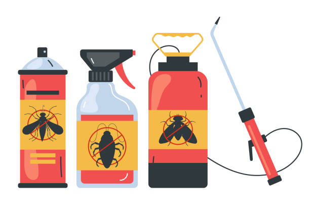 Best Rat Extermination Near Me  in Hallsville, TX